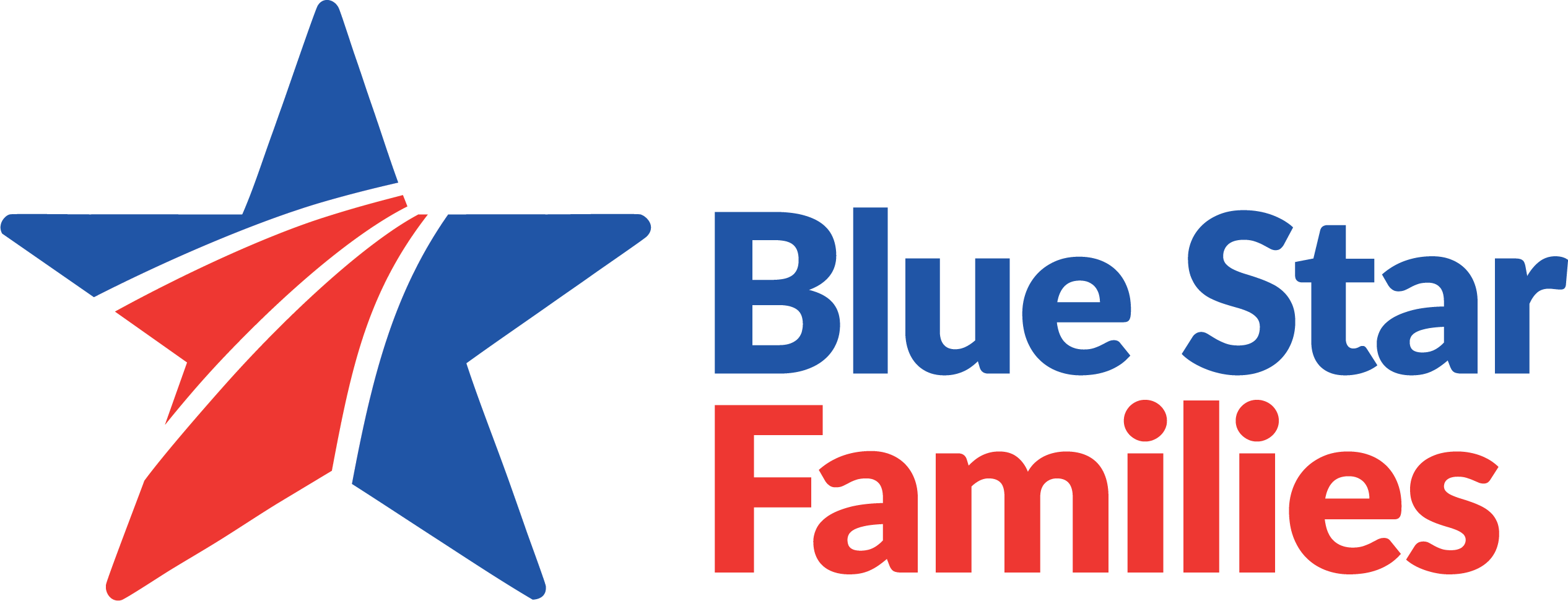Partner_BSF_BlueStarFamlies_Logo_RGB